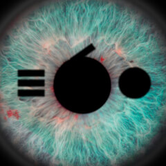 Gomel 360