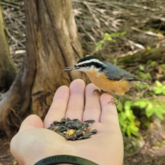 LIFE in 360