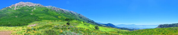 Nature VR channel banner