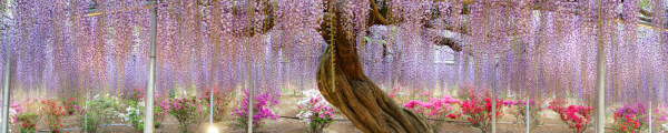 Tsuchi Labs channel banner