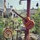 buinguyen
