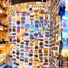 shreyasInWonderland