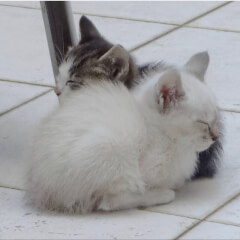 2cxtw