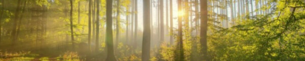 EduGodoi channel banner