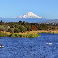 Sonido Imagen Redes