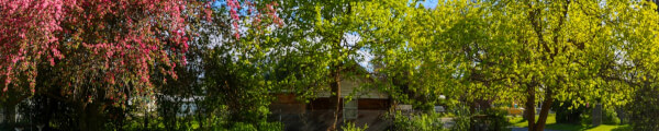 Immersive Wanders channel banner