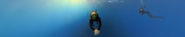 Weekly Dive Dose channel banner