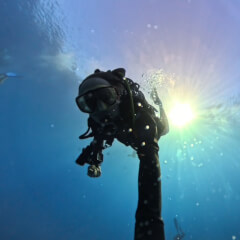 Weekly Dive Dose