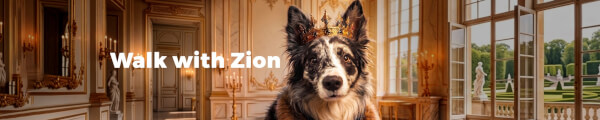 Zion Border Collie channel banner