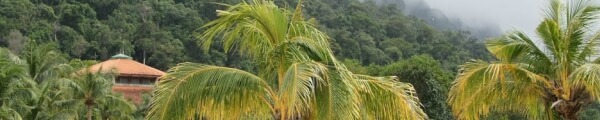 The 10 best islands channel banner