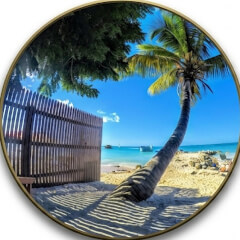Real Life Magic VR