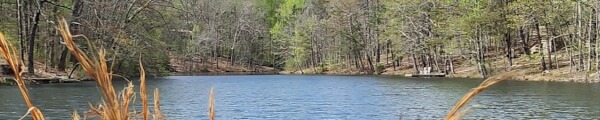 ThatWalterG channel banner
