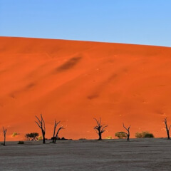 campExploreAfrica