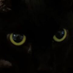 Hrerusa 8kVR180