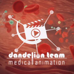 DMA Dandelion Animation