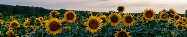 Explore Ukraine 360 VR channel banner
