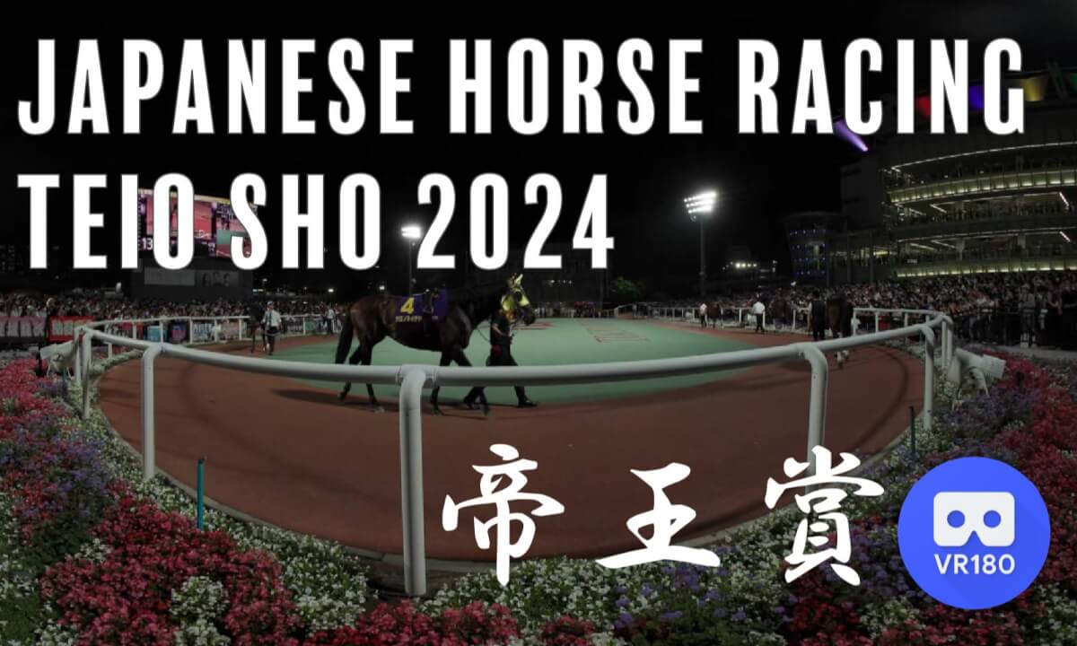 2024帝王賞_大井競馬場