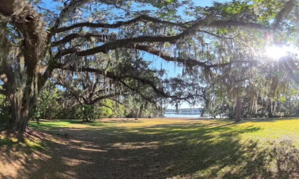 8K VR 360  Garden Tour  Alfred B  Maclay Gardens State Park [3]