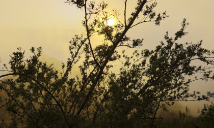 Teneryfie sunset