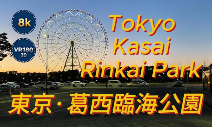 【8K 3D VR180】东京·葛西临海公园风光一角/Tokyo, Kasai Rinkai Park — A Glimpse of the Scenery/東京・葛西臨海公園 景観のひとコマ