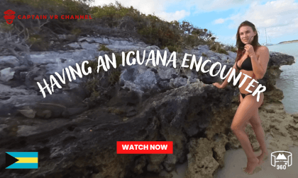 |32| beautiful Odyssey girls having an Iguana encounter! -360° video VR Video |32| beautiful Odyssey girls having an Iguana encounter! -360° video VR