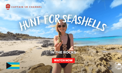 |33| Odyssey girls hunt for seashells in the rocks -360° video VR Video |33| Odyssey girls hunt for seashells in the rocks -360° video VR