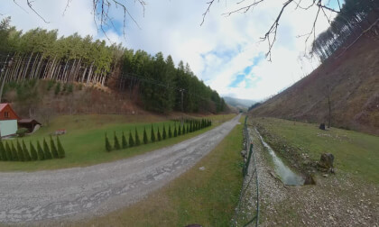 Muflonia ruja VR Video Muflonia ruja VR