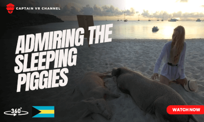 |38| Odyssey girls admiring the sleeping piggies - 360° video