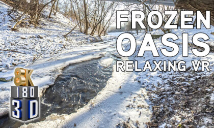 ❄️Frozen Serenity: A Hidden Winter Oasis in the City ❄️