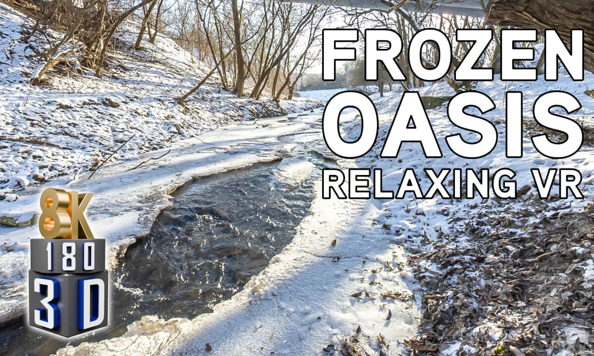 ❄️Frozen Serenity: A Hidden Winter Oasis in the City ❄️