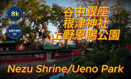 东京下町漫步物语｜谷中银座·根津神社·上野公园 VR180° 3D 沉浸纪实/An Old Tokyo Stroll: Yanaka Ginza, Nezu Shrine, Ueno Park | A VR180° 3D Immersive Documentary/東京下町さんぽ物語｜谷中銀座・根津神社・上野公園 VR180° 3D 没入ドキュメンタリー