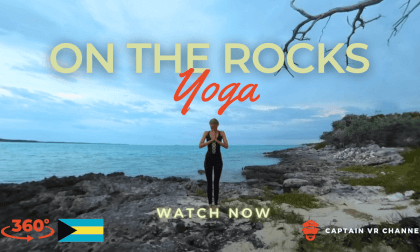|65| Doing Yoga on the rocks next to an interesting old tree -360° video