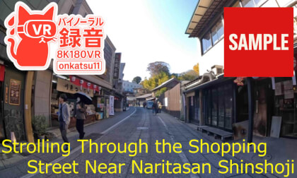 【SAMPLE】🏮 Evening Walk Through Naritasan Temple Town Shopping Street｜Calm Atmosphere (8K VR180)