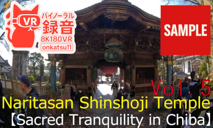 【SAMPLE】🏯Walking Through Naritasan Shinshoji Temple—Sacred Tranquility in Chiba(8KVR) Chapter Five‼