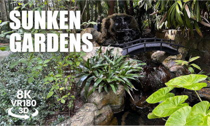 Sunken Gardens St. Petersburg Florida VR180 8K 3D | Historic Botanical Garden Walk VR视频 8K 3D動画 VR旅行