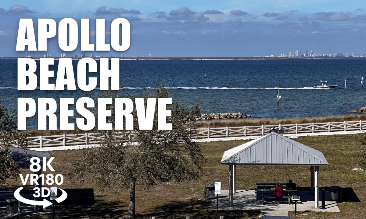 Apollo Beach Preserve Walk VR180 8K 3D Tampa Bay, Coastal Dunes, Observation Tower VR视频 8K 3D動画 VR旅行