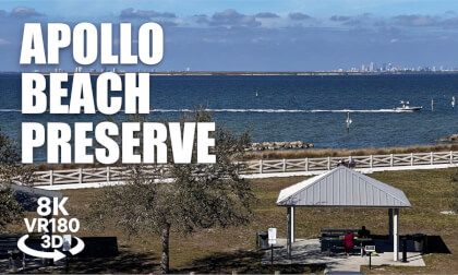 Apollo Beach Preserve Walk VR180 8K 3D Tampa Bay, Coastal Dunes, Observation Tower VR视频 8K 3D動画 VR旅行