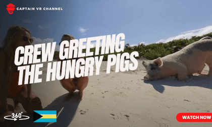 |74| Odyssey crew greeting the hungry pigs -360° video
