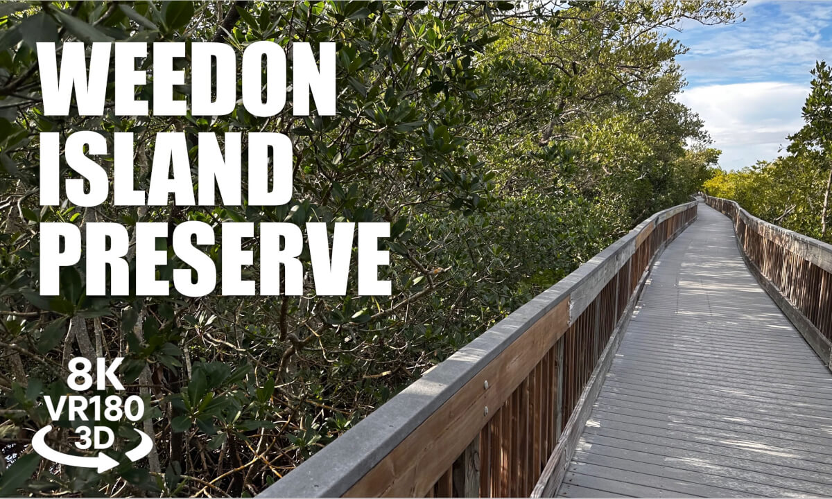 Weedon Island Nature Preserve Walk VR180 8K 3D Tampa Bay, Mangroves Sunset Boardwalk VR视频 3D動画 VR旅行