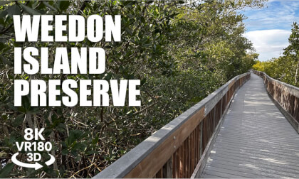 Weedon Island Nature Preserve Walk VR180 8K 3D Tampa Bay, Mangroves  Sunset Boardwalk VR视频 3D動画 VR旅行