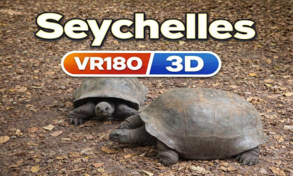 Curieuse Seychelles Tortoise Sanctuary