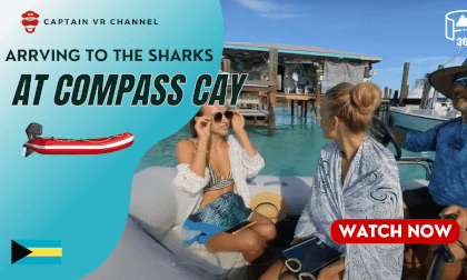 |84| Arrving to the sharks at compass cay -360° video VR Video |84| Arrving to the sharks at compass cay -360° video VR