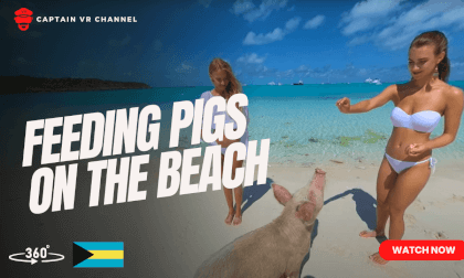 |96| Odyssey girls feeding pigs on the beach -360° video