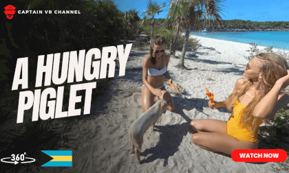 |97| Odyssey girls feeding a hungry piglet -360° video VR Video |97| Odyssey girls feeding a hungry piglet -360° video VR