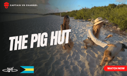 |99| Odyssey crew visits the pigs shanty -360° video VR Video |99| Odyssey crew visits the pigs shanty -360° video VR