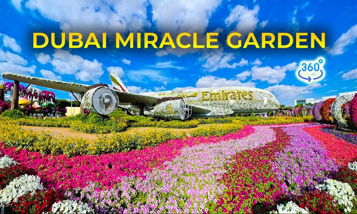 🇦🇪 Dubai Miracle Garden 🌸 360° Immersive Walk | Sunny January Day | VR Walking Tour