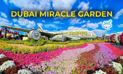 🇦🇪 Dubai Miracle Garden 🌸 360° Immersive Walk | Sunny January Day | VR Walking Tour