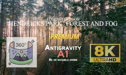 Hendricks Park Forest in the Fog | Antigravity A1 Invisible Drone (Premium)