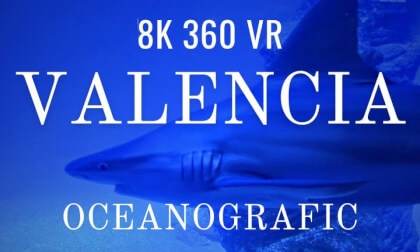 Valencia Oceanografic 8K 360 Panorama VR Insta360 X4