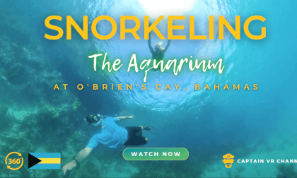 |82| Diving with lots of fish in the sea aquarium -360° video VR Video |82| Diving with lots of fish in the sea aquarium -360° video VR